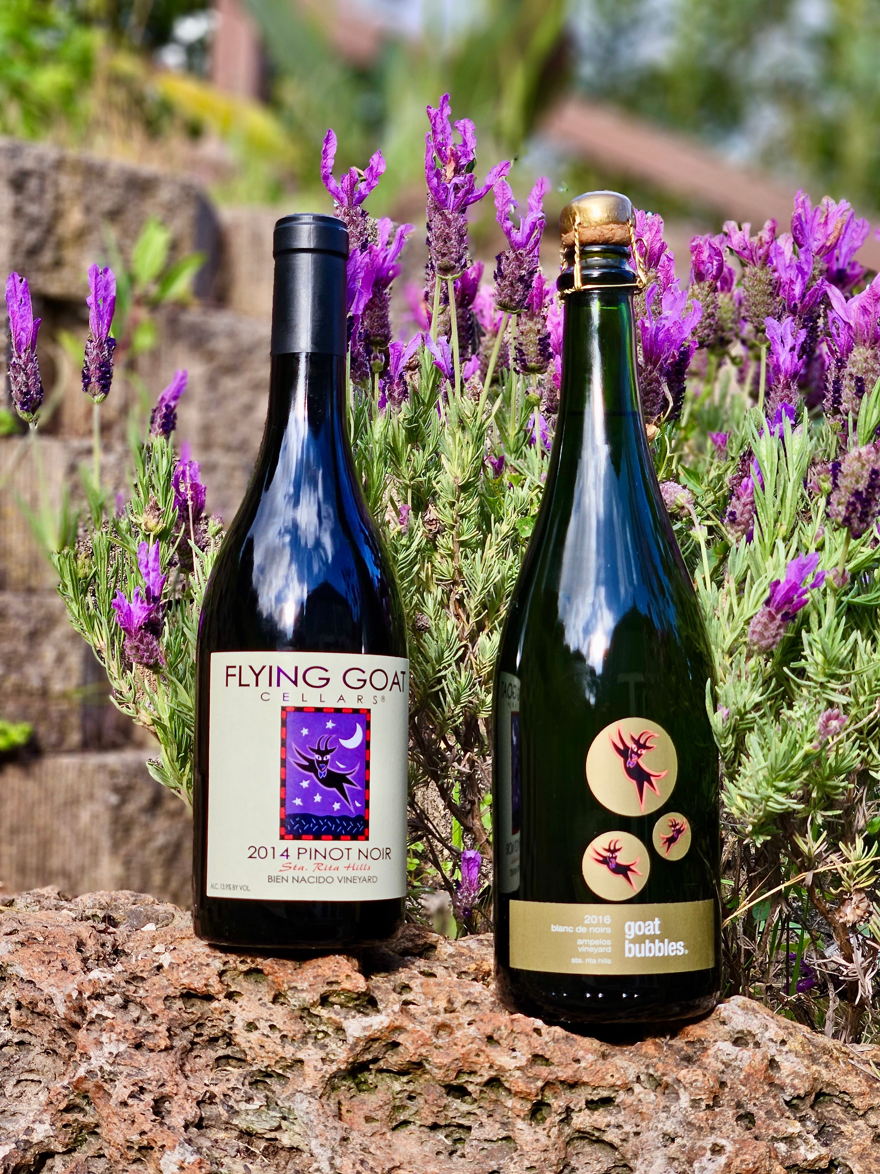 May Wine Specials Flying Goat Cellars