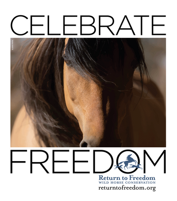 wine label Celebrate Freedom for Return to Freedom 2019 Pinot Noir