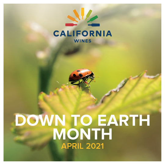 Down to Earth Month April 2021 - Sustainability