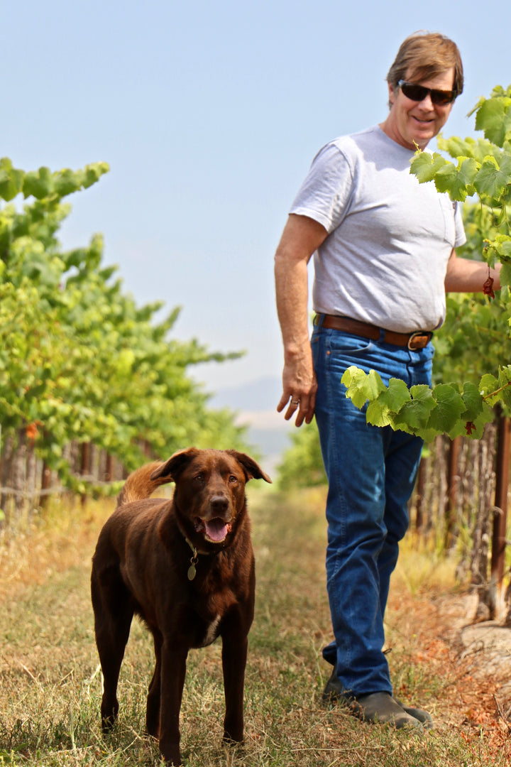Cooper the dog with Norm in the Vineyard