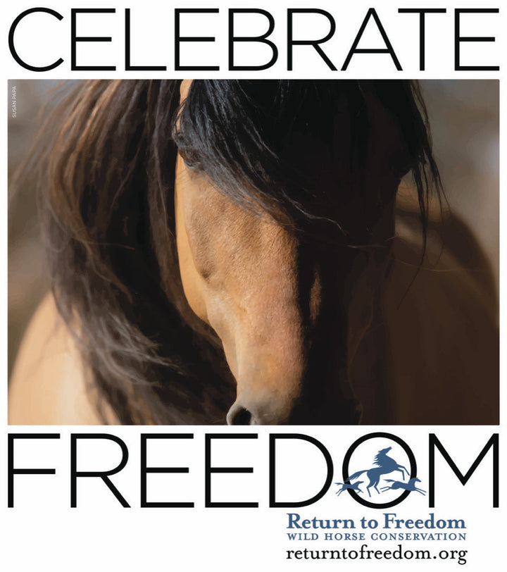 In the Spirit of Giving- Giving Tuesday & All Year Long