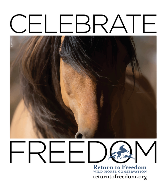 Giving Tuesday all Year Long!