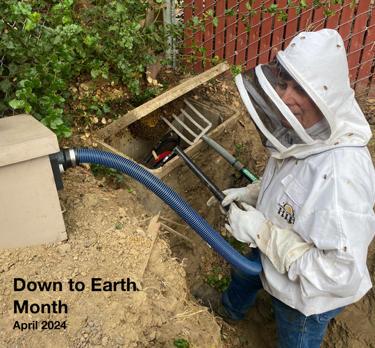 Down to Earth Month 2024