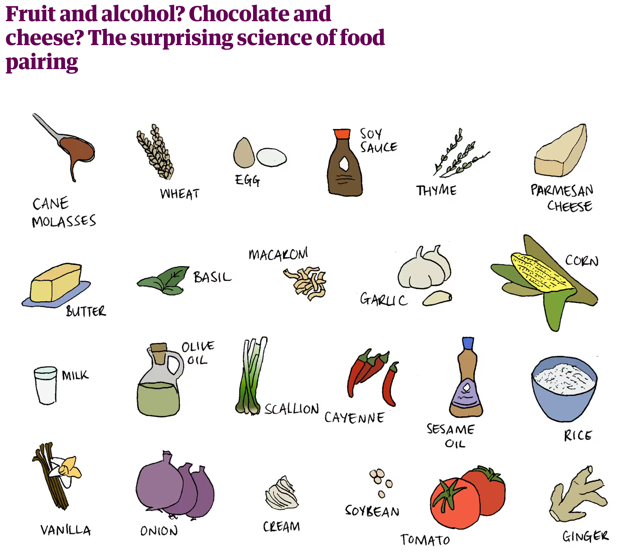 Food Science Flying Goat Cellars