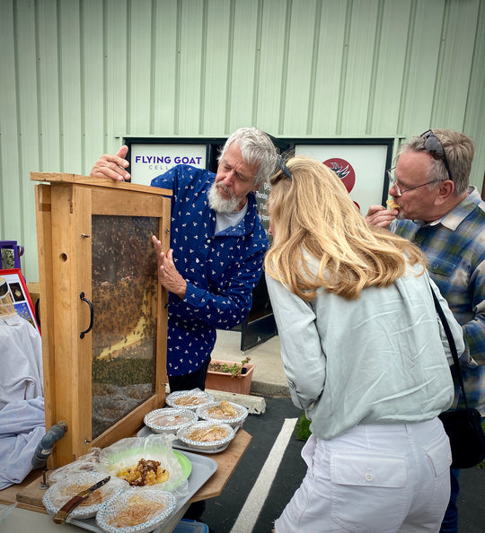 National Honey Bee Day 2022